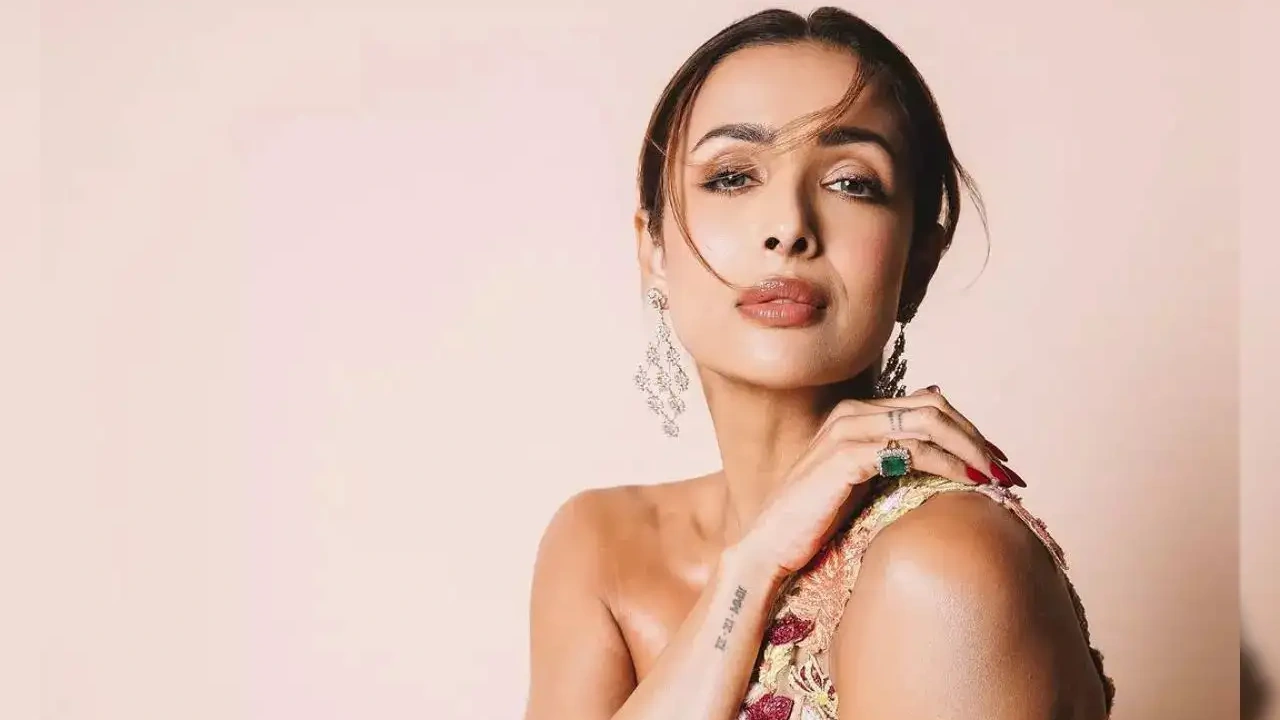 malaika-arora-second-marriage-bollywood-news