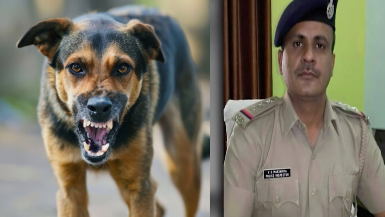 pi-dies-of-rabies-after-pet-dog-scratch-shocking-incident-raises-awareness