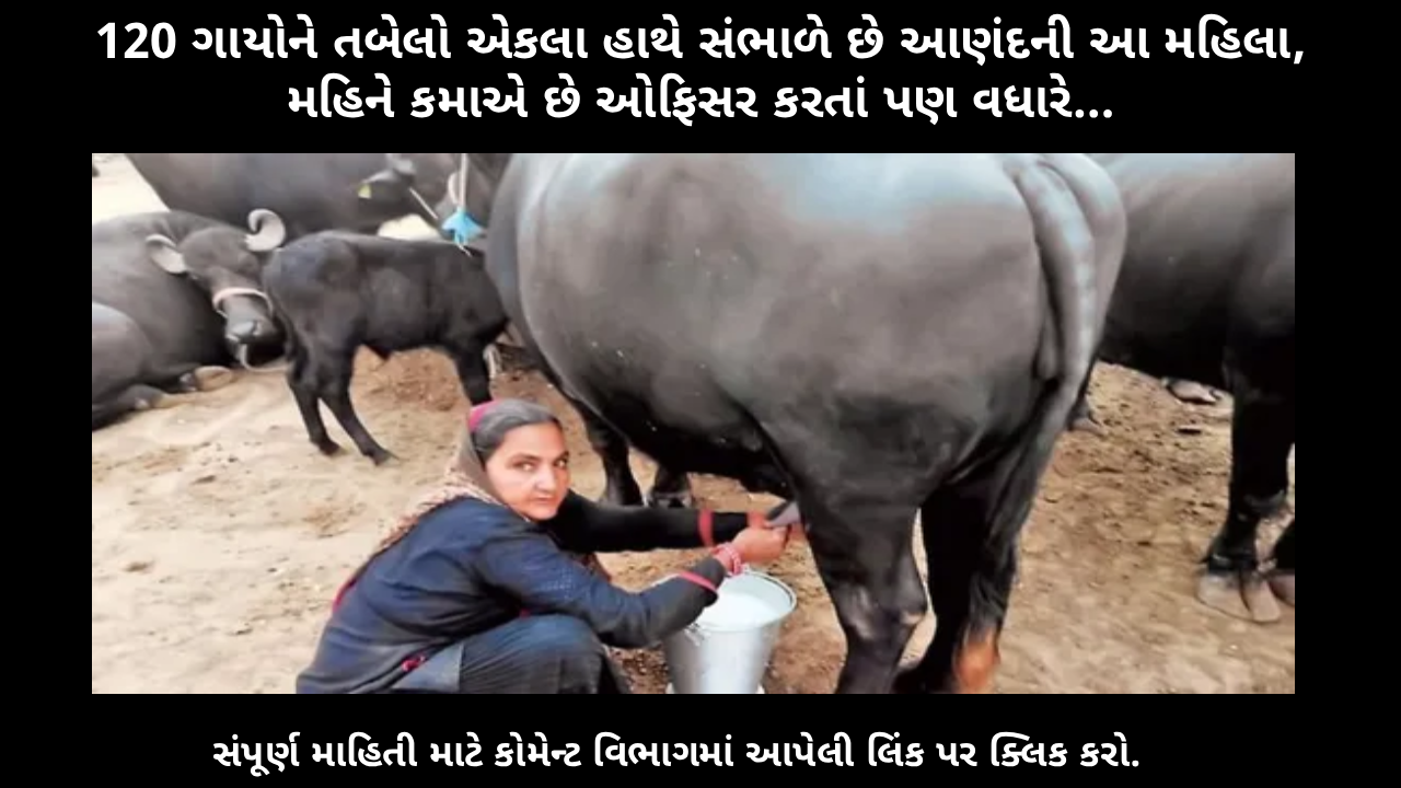 Anand woman manages 120 cows single-handedly and earns more than an officer