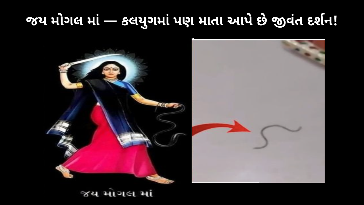 mogal-maas-live-miracle-in-kalyug-shocked-everyone