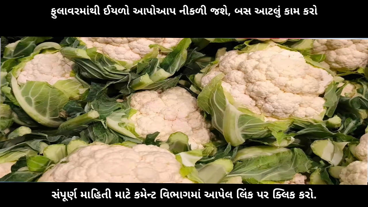 how-to-remove-worms-from-cauliflower-home-cleaning-tips-natural-methods