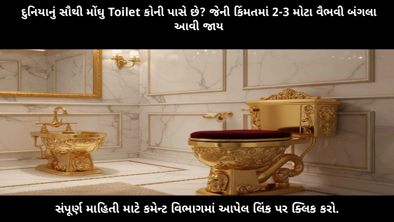 world-most-expensive-toilet-story-in-gujarati